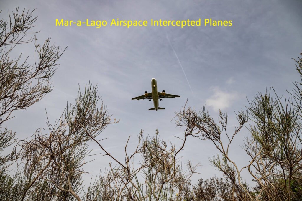 Commercial airplane flying overhead viewed from below through bare tree branches against a cloudy sky