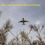 Commercial airplane flying overhead viewed from below through bare tree branches against a cloudy sky