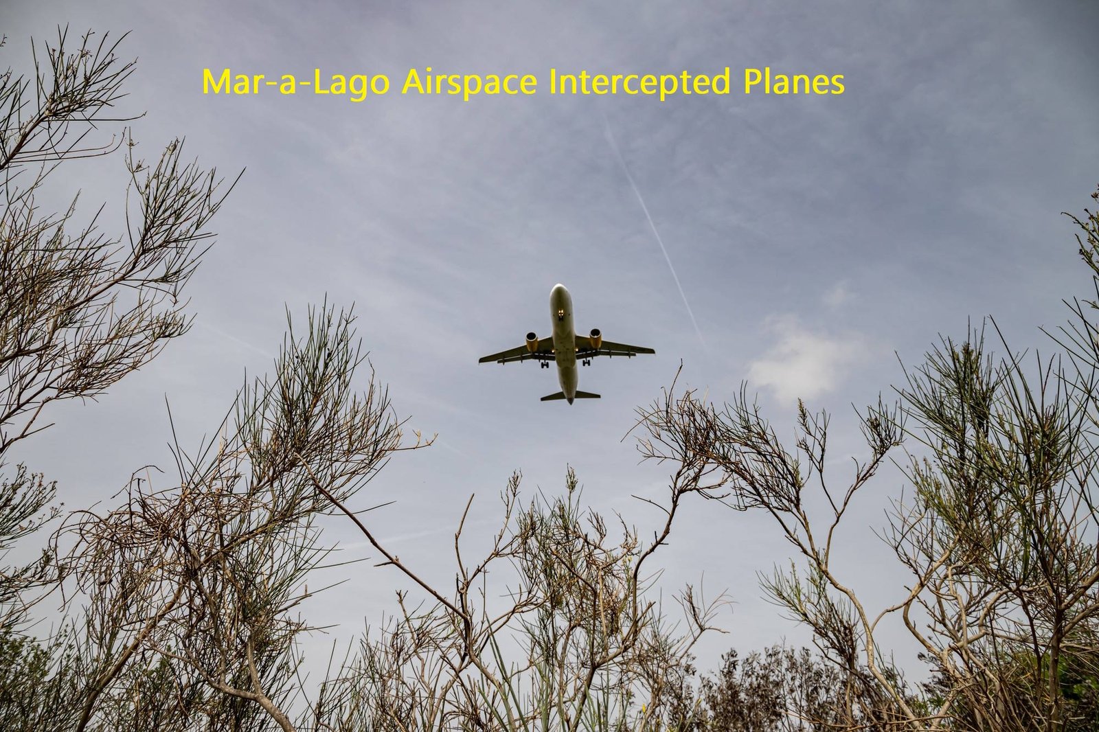 Commercial airplane flying overhead viewed from below through bare tree branches against a cloudy sky
